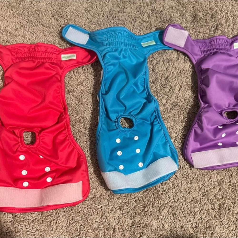 Dog diapers